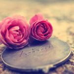 Love is like a Tiny Rose, cherrish it